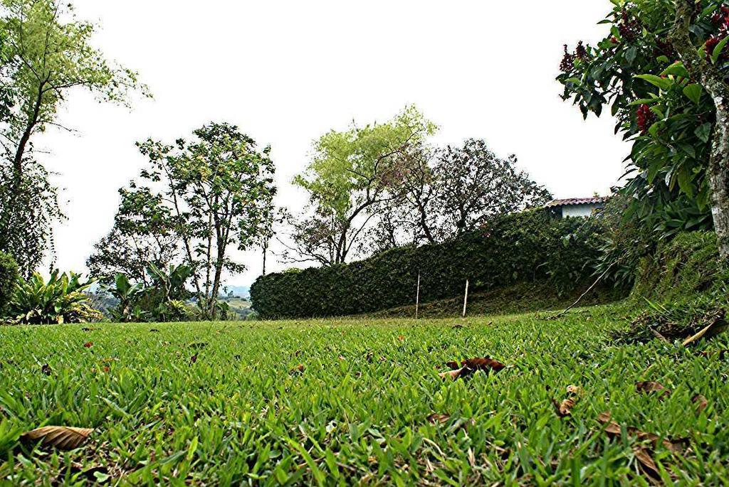 Hostal Campestre El Santuario Filandia Dış mekan fotoğraf