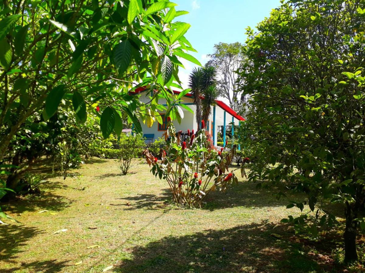 Hostal Campestre El Santuario Filandia Dış mekan fotoğraf