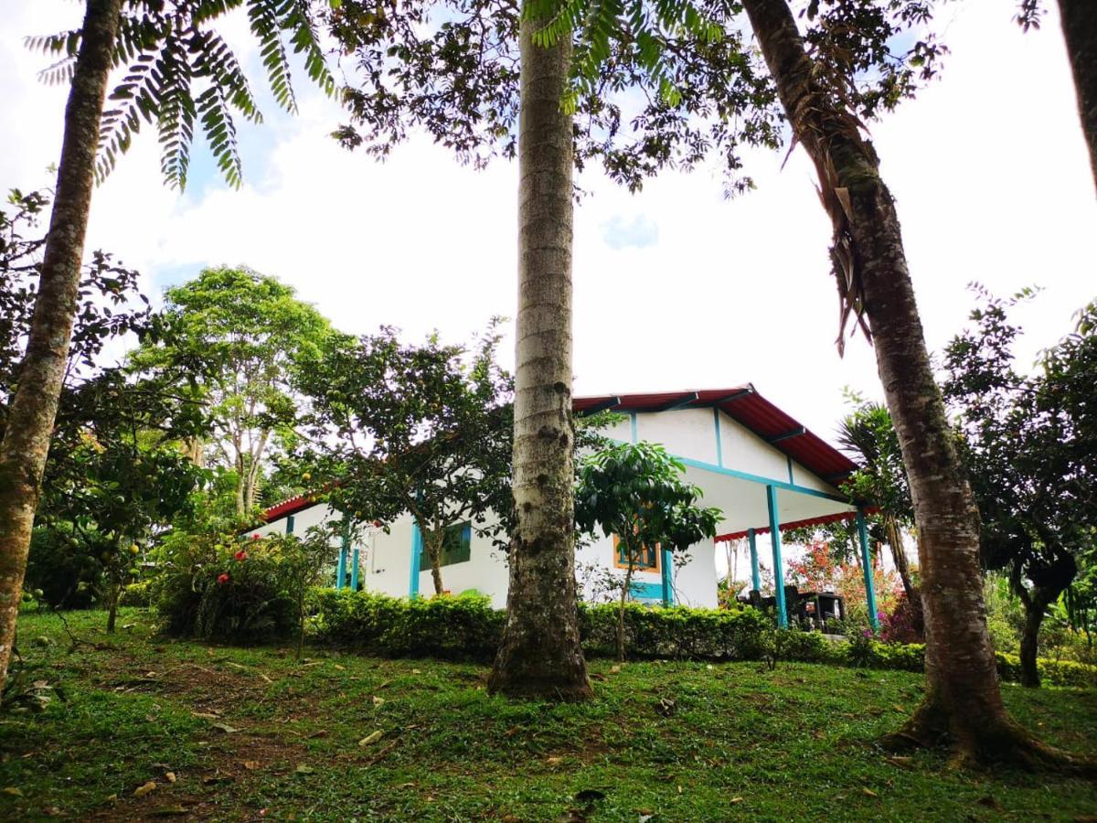 Hostal Campestre El Santuario Filandia Dış mekan fotoğraf